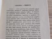 Vilniaus bažnyčios. Mūsų tautos šventovė - nuotraukos Nr. 3