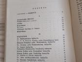 Vilniaus bažnyčios. Mūsų tautos šventovė - nuotraukos Nr. 8