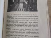 Knyga. Karo technikos dvidešimtmetis. 1919-1939. - nuotraukos Nr. 9