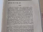 Knyga. Karo technikos dvidešimtmetis. 1919-1939. - nuotraukos Nr. 12