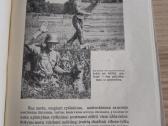 Knyga. Karo technikos dvidešimtmetis. 1919-1939. - nuotraukos Nr. 8