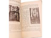 Gimtasai Kraštas: Tautotyros Vienkartinis Leidinys - nuotraukos Nr. 7
