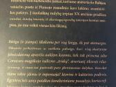 Judantys šešėliai - nuotraukos Nr. 5
