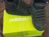 Adidas kedukai 22d