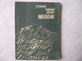 A. Paurienė - Patarimai jaunajai mezgėjai