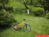 Naujas 20 Cross oranžinis - nuotraukos Nr. 3