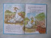 The ugly duckling - nuotraukos Nr. 2