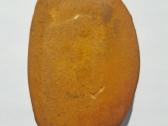 Jaspio pakabukas, akmuo, mineralas, Feniksas 55g - nuotraukos Nr. 2