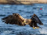 2026 metų 4G medžioklinė kamera Hc-950 Pro - nuotraukos Nr. 7