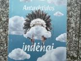 Knyga Antarktidos Indėnai, Juozas Gaižauskas