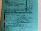 1928 m. Ateitis - nuotraukos Nr. 10