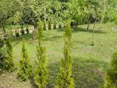 Parduodamas sklypas SB "Šlavanta", Šlavantos k. - nuotraukos Nr. 3