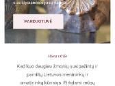 Parduodamas mylimas floristikos verslas! - nuotraukos Nr. 7