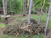 Pavojingų,avarinių medžių pjovimas, sklypų valymas - nuotraukos Nr. 18