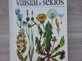 Lietuvos augalų vaisiai ir sėklos