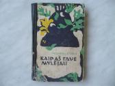 Z. Stanku - Kaip aš tave mylėjau