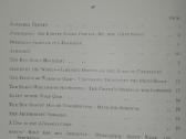 1530. The World Jamboree Of Boj Scouts 1929 m. - nuotraukos Nr. 4