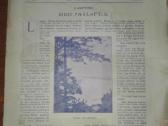 1298. Iliustruotoji Lietuva antikvarinis-kolekcini - nuotraukos Nr. 10