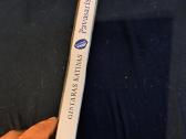 Katinas Gintaras ''Pavasaris'' - nuotraukos Nr. 6