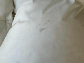 Ralph Lauren Polo pūkinė striukė mergaitei - nuotraukos Nr. 16