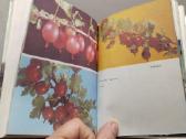 S. Švirinas "Jaunajam sodininkui" 1990 metai - nuotraukos Nr. 8