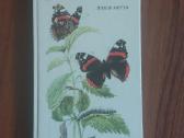 Knyga apie drugelius / Butterflies . - nuotraukos Nr. 3