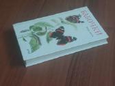 Knyga apie drugelius / Butterflies . - nuotraukos Nr. 5