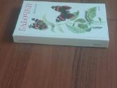 Knyga apie drugelius / Butterflies . - nuotraukos Nr. 6