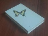 Knyga apie drugelius / Butterflies . - nuotraukos Nr. 8