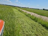 Žolės pjovimas, mulčiavimas, sklypų priežiūra - nuotraukos Nr. 18