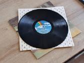 1980 Vinilas Paint Your Wagon U.s.a. - nuotraukos Nr. 7