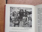 V. Daugirdaitė Sruogienė "Lietuvos istorija" 195? - nuotraukos Nr. 9