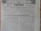 1544. Tėvynės Sargas labai retas antikvarinis-kole - nuotraukos Nr. 9