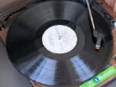 Vinilas Flesh and Blood, West Germany, 1980 - nuotraukos Nr. 9