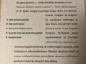 Nėščios moters vadovas - nuotraukos Nr. 5
