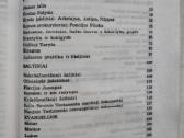 -Giuseppe Ricciotti Kristaus gyvenimas 1962 m. - nuotraukos Nr. 12