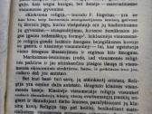 Jonas Ragauskas Antano katalikų religinės šventės - nuotraukos Nr. 6