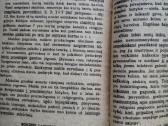 Jonas Ragauskas Antano katalikų religinės šventės - nuotraukos Nr. 8