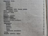 Jonas Ragauskas Antano katalikų religinės šventės - nuotraukos Nr. 9