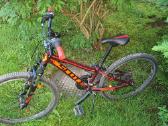 Scott Scale Jr 24