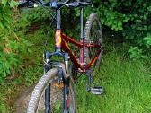 Scott Scale Jr 24 - nuotraukos Nr. 3