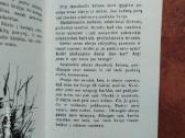 Žūklės klasika ir žūklės dvasingumas - nuotraukos Nr. 24