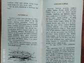 Vladas Dautartas "Beržų sulos rinkėjai" 1985 metai - nuotraukos Nr. 7