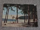 Kuršių Nerija, atvirutė 1965m