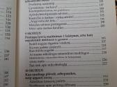 Protingas daržas - nuotraukos Nr. 4