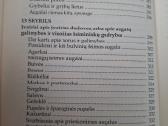 Protingas daržas - nuotraukos Nr. 5