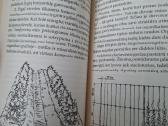 Protingas daržas - nuotraukos Nr. 7
