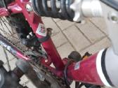 Condor bycicle dviratis - nuotraukos Nr. 5