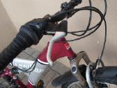 Condor bycicle dviratis - nuotraukos Nr. 9