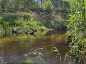 Baidarių nuoma, stovyklavietės, sodyba. - nuotraukos Nr. 4